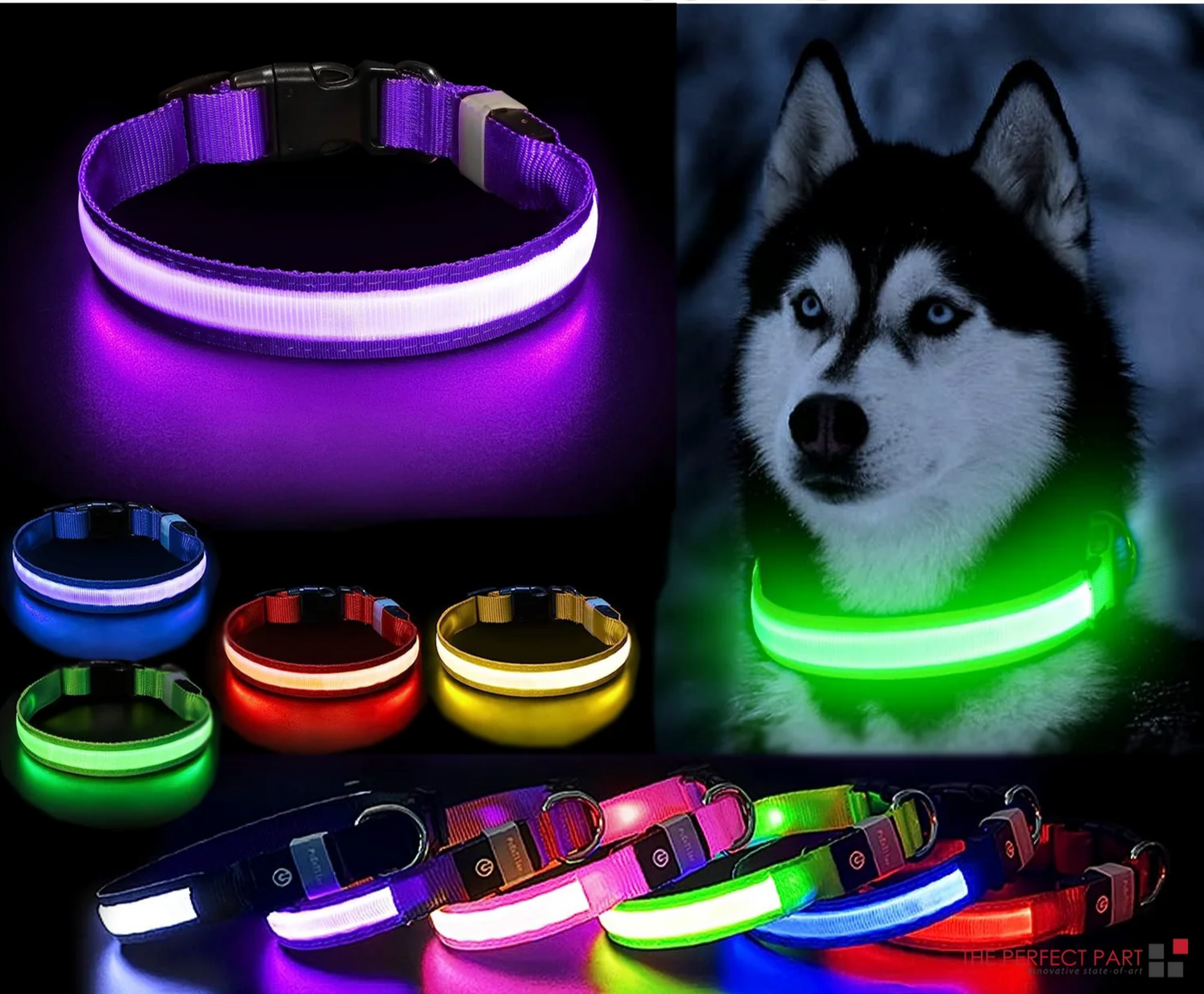 LED Adjustable Dog Collar Blinking Flashing Light up Glow Pets Safety Waterproof